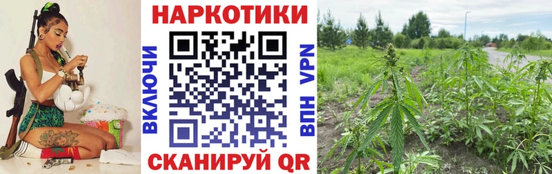  КОКАИН Кувандык