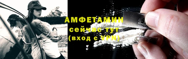 крисы Белокуриха