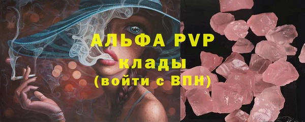 крисы Белокуриха
